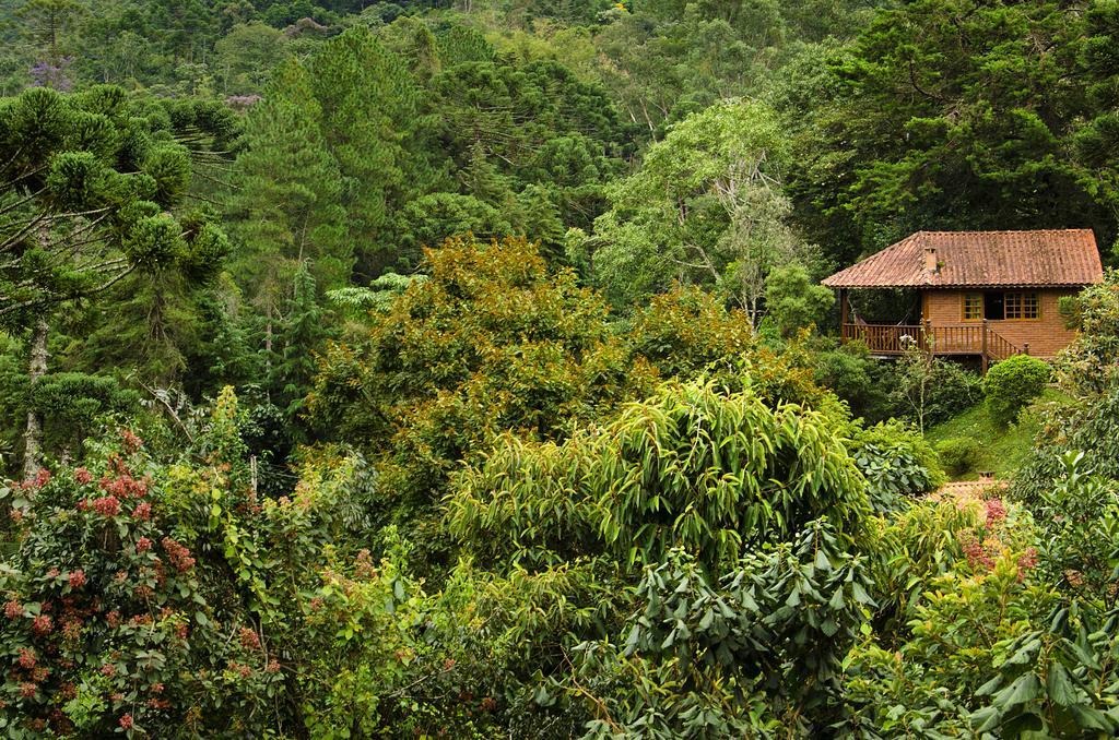 Pousada Das Araucarias Visconde de Mauá Exteriér fotografie