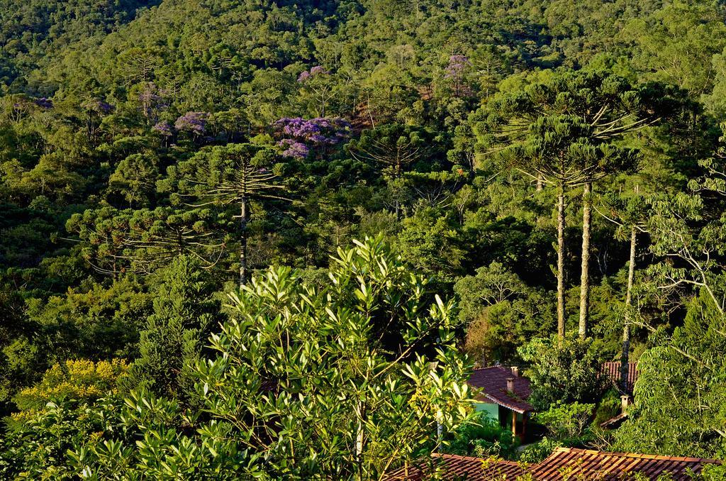 Pousada Das Araucarias Visconde de Mauá Exteriér fotografie