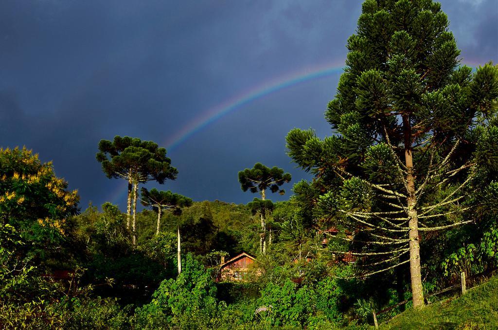 Pousada Das Araucarias Visconde de Mauá Exteriér fotografie