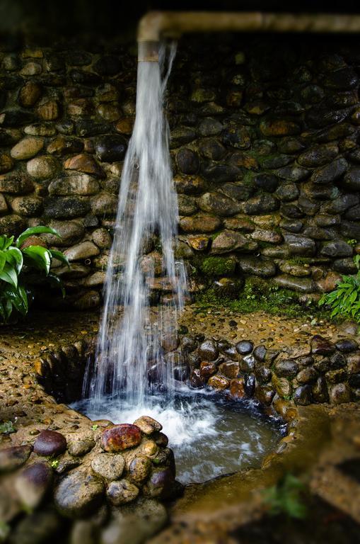 Pousada Das Araucarias Visconde de Mauá Exteriér fotografie